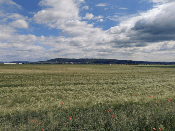 Pole Strašnov a Brodce nad Jizerou