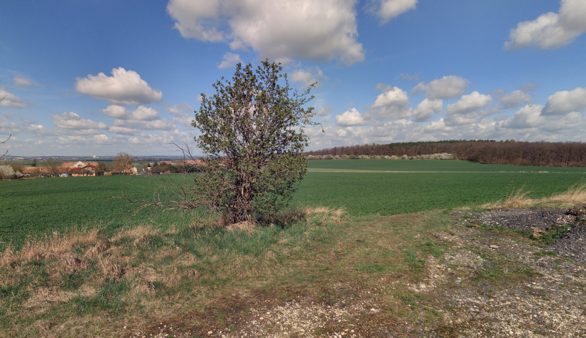 Lišice111 zemedelske-reality 06