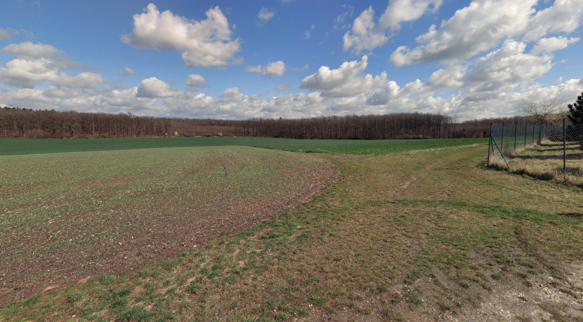 Lišice111 zemedelske-reality 08