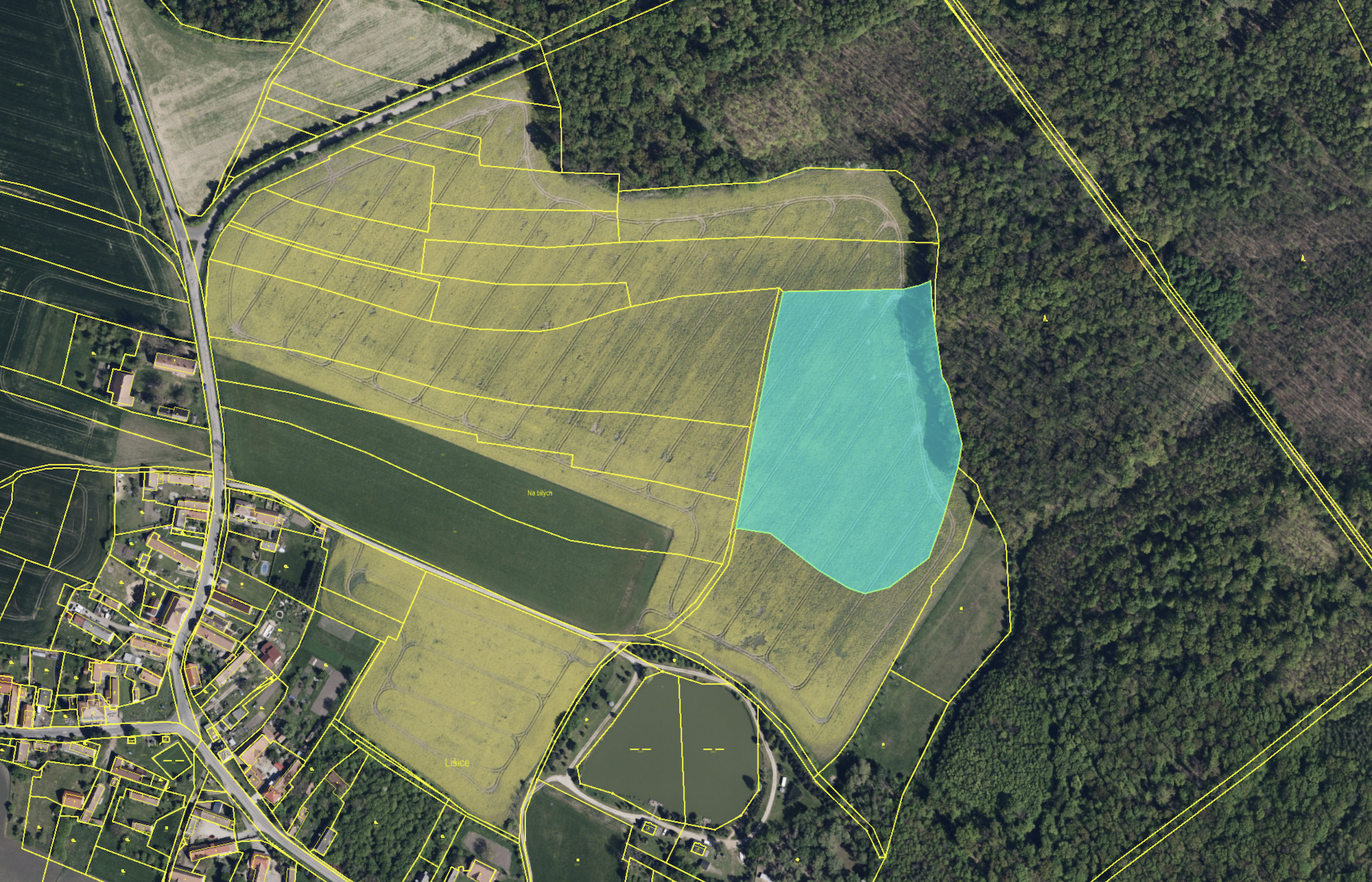 Lišice160 zemedelske-reality 01