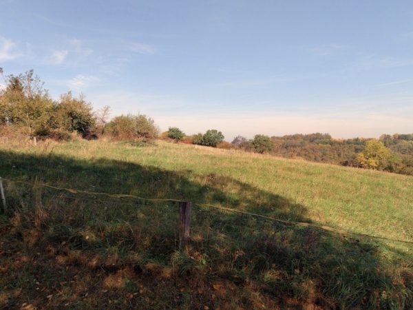 Kouřim zemědělské reality