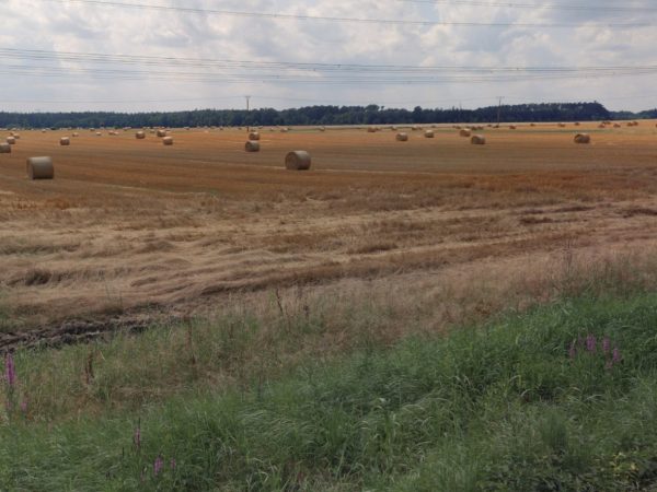 Záblatí zemědělské reality