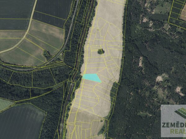 Louka Brodce nad Jizerou